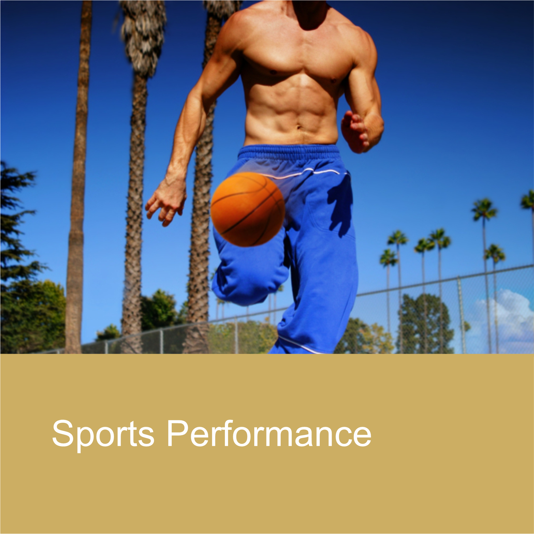 3Sports Performance 3Sports Performance
